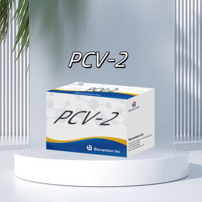 Δοκιμή ELISA WB/S/P PCV-2 για αντισώματα από ζώα