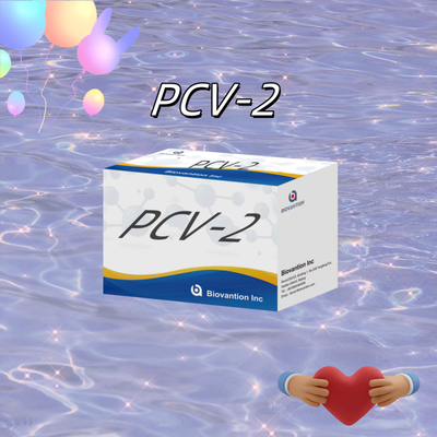 Δοκιμή ELISA WB/S/P PCV-2 για αντισώματα από ζώα