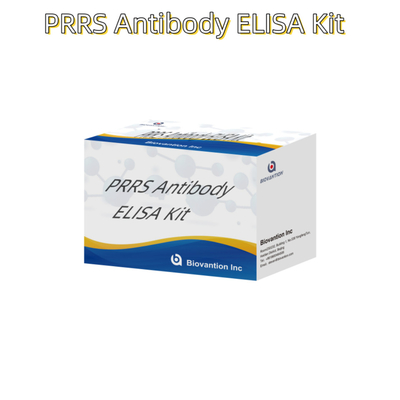 Έλεγχος ELISA για τα ζωικά αντισώματα PRRSV