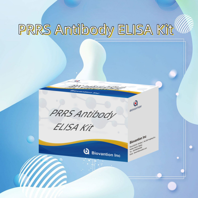 Έλεγχος ELISA για τα ζωικά αντισώματα PRRSV