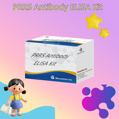 Έλεγχος ELISA για τα ζωικά αντισώματα PRRSV