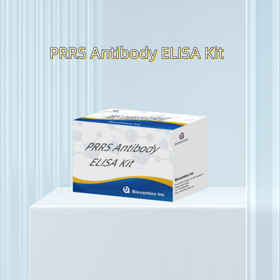 Έλεγχος ELISA για τα ζωικά αντισώματα PRRSV