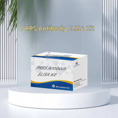 Έλεγχος ELISA για τα ζωικά αντισώματα PRRSV