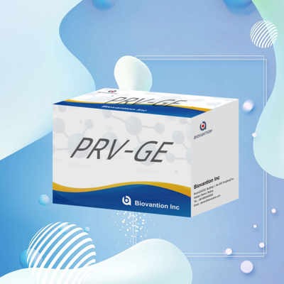 Κιτ ανίχνευσης αντισωμάτων PRV-GE για αντιδραστήρα ανίχνευσης ζώων