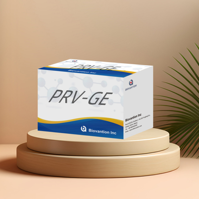 Κιτ ανίχνευσης αντισωμάτων PRV-GE για αντιδραστήρα ανίχνευσης ζώων
