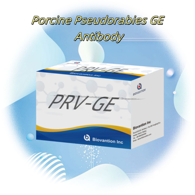 Κιτ ανίχνευσης αντισωμάτων PRV-GE για αντιδραστήρα ανίχνευσης ζώων
