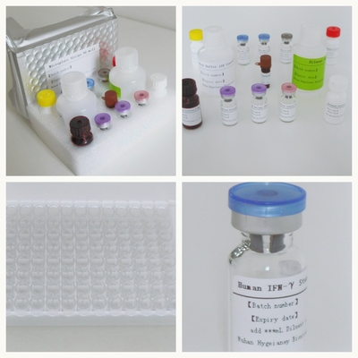 Προηγμένη συσκευή δοκιμής IGRA Elisa για ευαίσθητη και ειδική ανίχνευση αντιγόνων της φυματίωσης
