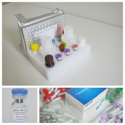 Προηγμένη συσκευή δοκιμής IGRA Elisa για ευαίσθητη και ειδική ανίχνευση αντιγόνων της φυματίωσης