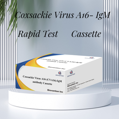 Ο ιός Coxsackie A16 CVA16-IgM Αντισωματική κασέτα WB/S/P Κολοϊδικό χρυσό ταχεία δοκιμή
