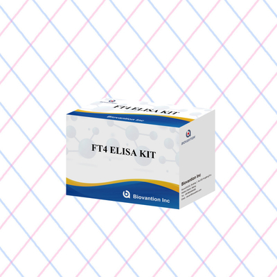 FT4 Elisa Kit με 95% ευαισθησία in vitro αντιδραστήρα δοκιμής για ανθρώπινη χρήση