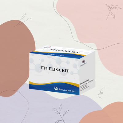 Το TOXO IgM IgG igg igm kit elisa για ανθρώπινη χρήση kit δοκιμής διαγνωστικού αντιδραστήρα με 96 kit