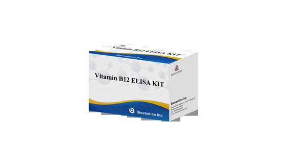 Βιταμίνη Β1 Elisa Test Kit Δοκιμή σε ζώα Ερευνήματα σε ενζύμια