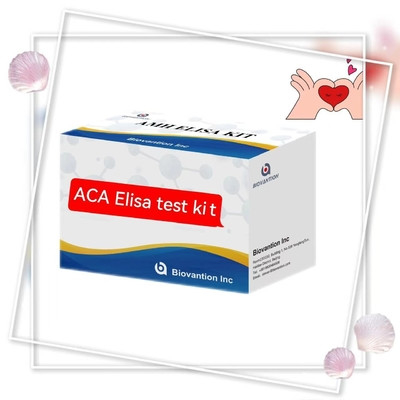 Αντι- ACA IgM Elisa Δοκιμή σε ζώα με διάρκεια 18 μηνών Ειδικότητα διαρκείας 2-3 ώρες