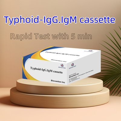 Ζεστή πώληση Τυφοειδής IgM IgG Για Εργαστηρίων Νοσοκομεία Τυφοειδής πυρετός Ραπτό τεστ αίματος