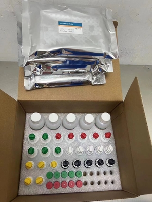 Νέο φθινόπωρο IVD αντιδραστήρα HCV Διαγνωστικό αντιδραστήρα Δοκιμή για ανθρώπινο νοσοκομειακό κλινικό εργαστήριο
