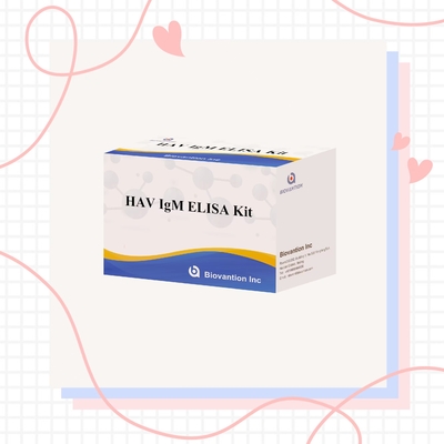 HAV IgM Elisa Test Ηπατίτιδα A Διαγνωστικό Κιτ Εμφυτοενζυμική ανοσολογική δοκιμή