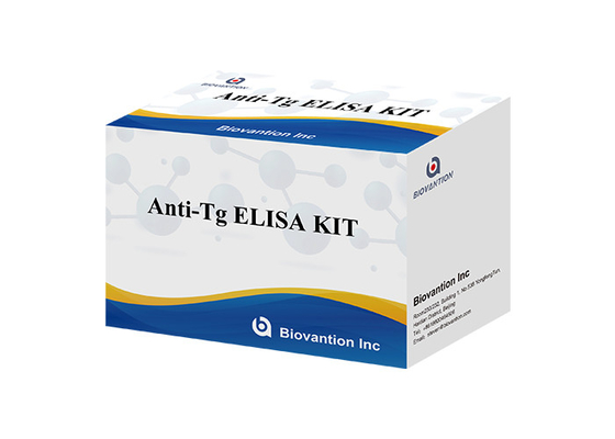 Αντι- Tg ELISA Test Kit Τυροσφαιρίνη Ab In Vitro ποσοτικός προσδιορισμός