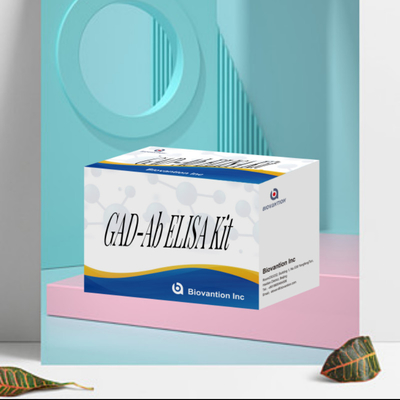 Δοκιμή ELISA GAD Glutamic Acid Decarboxylase Αντίσωμα Ιατρικής Διαγνώσης Αντιδραστήρα για άνθρωπο με 96 δοκιμή