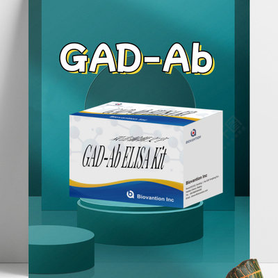 Δοκιμή ELISA GAD Glutamic Acid Decarboxylase Αντίσωμα Ιατρικής Διαγνώσης Αντιδραστήρα για άνθρωπο με 96 δοκιμή