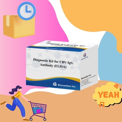 Υψηλής ειδικότητας αντισώματα CBV-IgG ανιχνεύουν τον άνθρωπο Ελίζα κιτ για ακριβή ανίχνευση των αναλυτών-στόχων