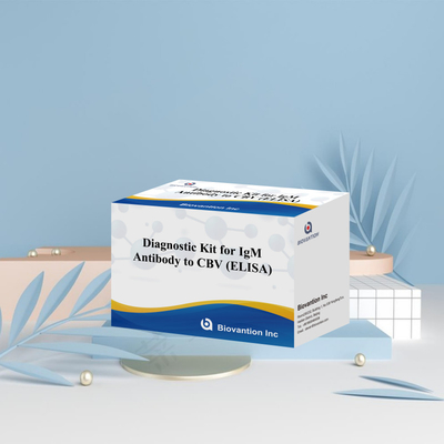 CBV igm ELISA KIT D διαγνωστικό αντιδραστήρα 18 μήνες Χρονοδιάστημα ισχύος Ενζυμικά συνδεδεμένο ελεγχόμενο ελεγχόμενο ανοσοσυλλεκτικό