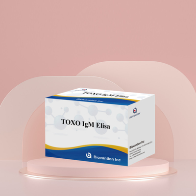 Το TOXO IgM Elisa Kit για ανθρώπινη χρήση Diagnostic Reagent Test Kit With 96 Kit