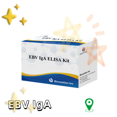 EBV HUMAN ELISA Test Kit 2-8°C Νευαισθησία Διαγνωστικό Κιτ Για IgA Αντισώμα Στο EBV-EA