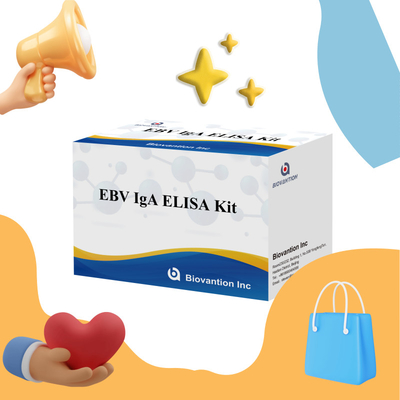 EBV HUMAN ELISA Test Kit 2-8°C Νευαισθησία Διαγνωστικό Κιτ Για IgA Αντισώμα Στο EBV-EA