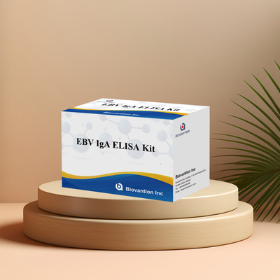 EBV HUMAN ELISA Test Kit 2-8°C Νευαισθησία Διαγνωστικό Κιτ Για IgA Αντισώμα Στο EBV-EA