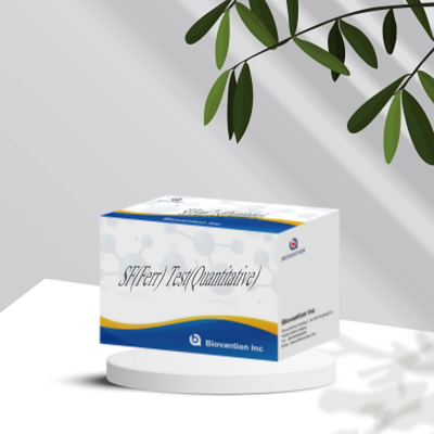 IVD Αντιδραστήρας SF Ferr ELISA Test Kit Κτηνιατρικό όργανο για ποσοτική ανίχνευση της διάγνωσης της φερριτίνης στο ορό