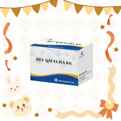 Ακριβές και ευαίσθητο τεστ ELISA HEV-IgM για ακριβή ανίχνευση και ανάλυση
