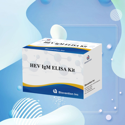 Ακριβές και ευαίσθητο τεστ ELISA HEV-IgM για ακριβή ανίχνευση και ανάλυση