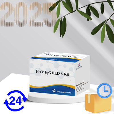 Υψηλή ευαισθησία HAV IgG ELISA Kit ακριβής ανίχνευση ιού ηπατίτιδας Α αξιόπιστη πιστοποίηση CE για κλινική και ερευνητική χρήση