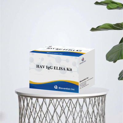 Υψηλή ευαισθησία HAV IgG ELISA Kit ακριβής ανίχνευση ιού ηπατίτιδας Α αξιόπιστη πιστοποίηση CE για κλινική και ερευνητική χρήση