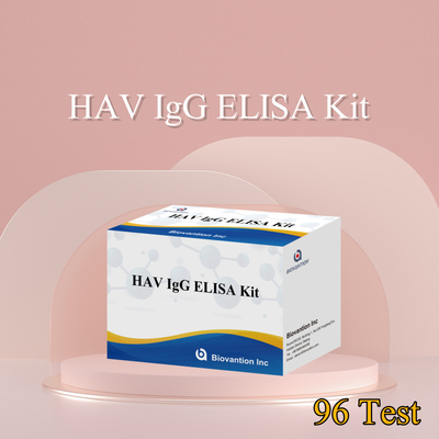 Υψηλή ευαισθησία HAV IgG ELISA Kit ακριβής ανίχνευση ιού ηπατίτιδας Α αξιόπιστη πιστοποίηση CE για κλινική και ερευνητική χρήση