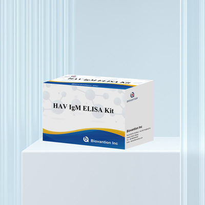 HAV IgM ELISA Kit Υψηλή ευαισθησία Ηπατίτιδα Α Ανίχνευση ιού Αξιόπιστο ακριβές διαγνωστικό τεστ για κλινικά εργαστήρια