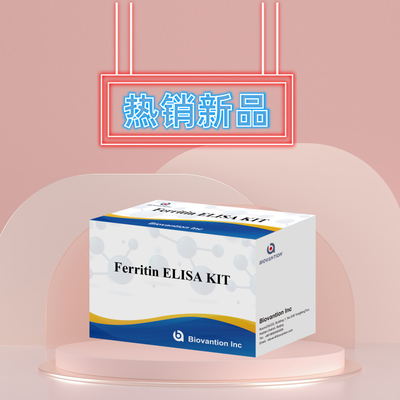 Biovantion Υψηλή ευαισθησία Ferritin Elisa Test Kit Ποσοτική ανίχνευση για κλινική διάγνωση και έρευνα Χρησιμοποιήστε ανθρώπινα δείγματα πλάσματος ορού