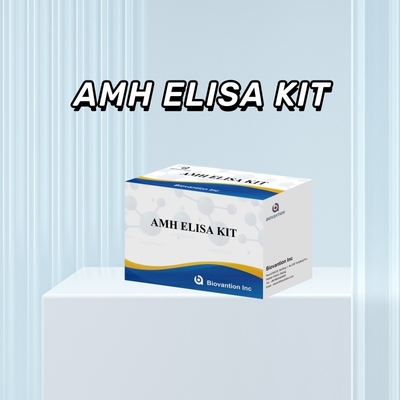 Δοκιμή IVD Αντι- Μυλλεριανή ορμόνη AMH Elisa για ανθρωπίνους ανιχνευτές με 96 δοκιμές