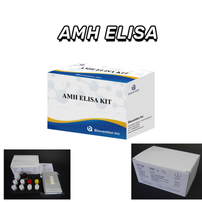 Δοκιμή IVD Αντι- Μυλλεριανή ορμόνη AMH Elisa για ανθρωπίνους ανιχνευτές με 96 δοκιμές
