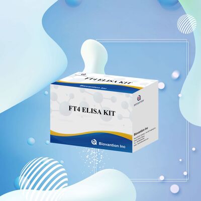 Ακριβές κιτ ELISA FT4 με 98% ειδικότητα και 95% ευαισθησία για διαταραχές του θυρεοειδούς (96 tests)