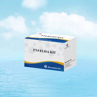 Ακριβές κιτ ELISA FT4 με 98% ειδικότητα και 95% ευαισθησία για διαταραχές του θυρεοειδούς (96 tests)