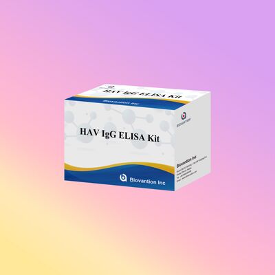 Υψηλής ευαισθησίας HAV IgG ELISA Kit (0,2 ng/mL) CE Πιστοποιημένο για ακριβή ανίχνευση του ιού της ηπατίτιδας Α σε 96 δοκιμές
