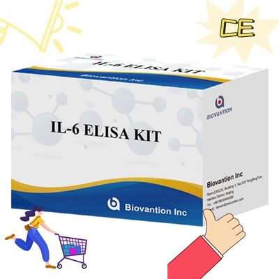 IL-6 Interleukin-6 Human ELISA Kit με 99% ακρίβεια 24 μήνες διάρκεια ζωής και 96 δοκιμές/ Kit