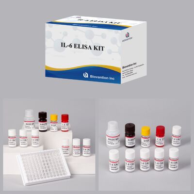 IL-6 Interleukin-6 Human ELISA Kit με 99% ακρίβεια 24 μήνες διάρκεια ζωής και 96 δοκιμές/ Kit