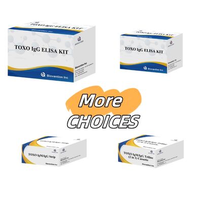 TOXO Ig G ELISA Test Kit with 99% Accuracy for Toxoplasma gondii IgG Detection, Endonuclease And Exonuclease Activity Tested, 24 Months Shelf Life