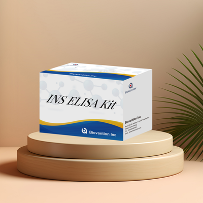 ELISA Kit de INS (Insulina) Humana | Kit de Ensayo ELISA Cuantitativo de Insulina, ELISA Sándwich para Suero Plasma 96 Pruebas Reactivo de Investigación de Laboratorio