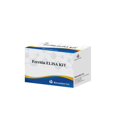 Biovantion Υψηλή ευαισθησία Ferritin Elisa Test Kit Ποσοτική ανίχνευση για κλινική διάγνωση και έρευνα Χρησιμοποιήστε ανθρώπινα δείγματα πλάσματος ορού