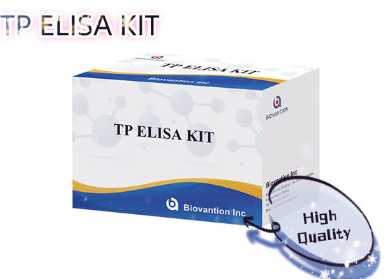 Σετ Τεστ ELISA Σύφιλης TP 96T Ανίχνευση Αντισωμάτων Treponema Pallidum Ανθρώπινος Ορός