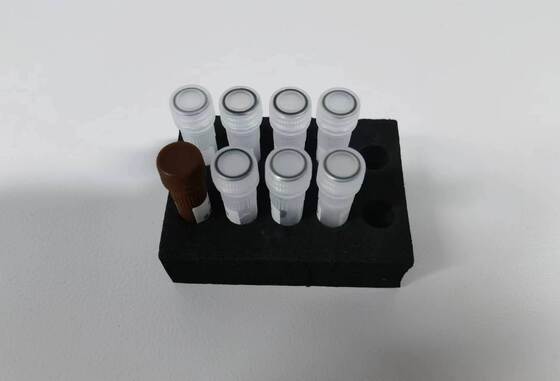 Έλεγχος PCR για την Dengue υψηλής ποιότητας ανίχνευση με 48 δοκιμές