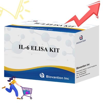 IL-6 Interleukin-6 Human ELISA Kit με 99% ακρίβεια 24 μήνες διάρκεια ζωής και 96 δοκιμές/ Kit